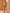 ZASUWA Female Cross Cutout Micro Bikini Set