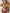 ZASUWA Female Gradient Contrast Color Flounce Mesh 3-Pieces Bikini Set