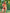 ZASUWA Female Solid Color Bikini SetX Carmen⭐
