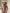 ZASUWA Female Sexy Lace Flowers 3-pieces Bikini Set