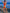 ZASUWA Female Sexy Contrast Color Bow-knot Lace-up Hollow Out Bikini Set