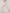 ZASUWA Female High Waist Nude Quick-Drying Mesh Contrast Color Stitching Leggings