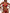 ZASUWA Female Solid Color Bikini Set