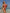 ZASUWA Female Zebra Print Hollow Out Cross Back One Piece
