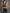ZASUWA Female High Impact Shockproof Sports Bras