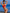 ZASUWA Female Sexy Contrast Color Bow-knot Lace-up Hollow Out Bikini Set