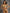 ZASUWA Female Sexy Shiny Golden&Sliver Swimsuit