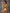 ZASUWA Female Sexy Shiny Golden&Sliver Swimsuit