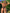ZASUWA Female Sexy Shining Bikini SetX Carmen⭐