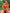 ZASUWA Female Solid Color Bikini SetX Carmen⭐