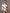 ZASUWA Female Tailoring Contast Color Mesh Bodysuit