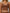 ZASUWA Female Contrast Color Cross Back Sports Bras