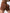 ZASUWA Female Seamless Deep V Back Scrunch Bum Shorts