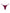 ZASUWA Female Metal Animal Print T-back Underwear