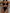 ZASUWA Female Cutout Cross One Piece