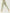 ZASUWA Female Scrunch Bum Deep V Back Leggings