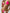 ZASUWA Female Sexy Pearl Beach Bikini Set