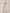 ZASUWA Female Cross Flare High-waisted Hip-lift Leggings