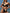 ZASUWA Female Flower Tailoring Solid Color Bikini Set