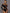 ZASUWA Female Tailoring Contast Color Mesh Bodysuit