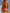 ZASUWA Female Glossy Sequins Bikini Set