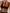 ZASUWA Female Sexy U Collar Backless Sports Bras