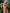 ZASUWA Female Sexy Contrast Color Simple Bikini Set
