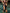 ?ZASUWA Female Sexy Cutout Backless Beach One Piece