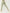 ZASUWA Female Deep V Back Scrunch Bum Leggings