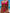 ZASUWA Female Solid Color Sexy Swimsuit