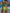 ZASUWA Female Solid Color Sexy Swimsuit