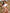 ?ZASUWA Female Sexy Hollow Out One Piece