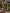 ❤ZASUWA Female Solid Color 2 Pics Hollow Out Design One Piece