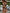 ❤ZASUWA Female Solid Color 2 Pics Hollow Out Design One Piece