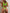 ❤ZASUWA Female Solid Color 2 Pics Hollow Out Design One Piece