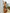 ?ZASUWA Female Shining Stripes Backless One Piece X ANECHKAANNN ⭐