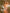 ZASUWA Female Sexy Basic Beach Bikini Set