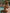 ZASUWA Female Sexy Basic Beach Bikini Set