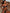 ZASUWA Female Sexy Twist Beach Bikini Set