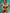 ZASUWA Female Sexy Contrast Color Beach Bikini Set