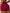 ZASUWA Female Solid Color V Collar Sports Bras