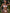 ZASUWA Female Sexy Bead Beach Bikini Set