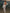 ZASUWA Female Sexy Sheer Mesh Backless Swimwear Cover Long Dress Without Bikini Set
