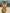ZASUWA Female Unique Contast Color Perforated Design Bikini Set
