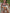 ZASUWA Female Sexy Contrast Color Bikini Set