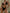 ZASUWA Female Sexy Leopard Print Bikini Set