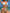 ZASUWA Female Sexy Pretty Girls Print  Mesh 3-Pieces Bikini Set