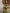 ZASUWA Female Flower 3-Pieces Bikini Set