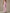 ZASUWA Female Sexy Backless Deep V Collar Flare Jumpsuit
