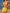 ZASUWA Female Flower 3-Pieces Bikini Set